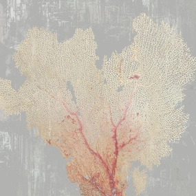 ArtDirect Blush Coral I 11x11 UnFramed Art Print Poster Ready for Framing by Wilson, Aimee