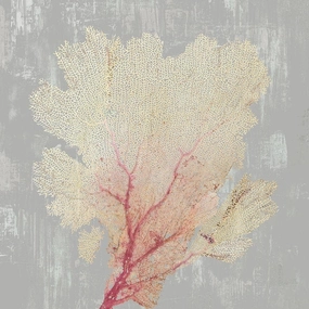 ArtDirect Blush Coral II 24x24 Extra Large Unframed Art Print Poster Ready for Framing by Wilson, Aimee