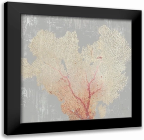 ArtDirect Wilson, Aimee 20x20 Black Modern Framed Art Print Titled: Blush Coral I