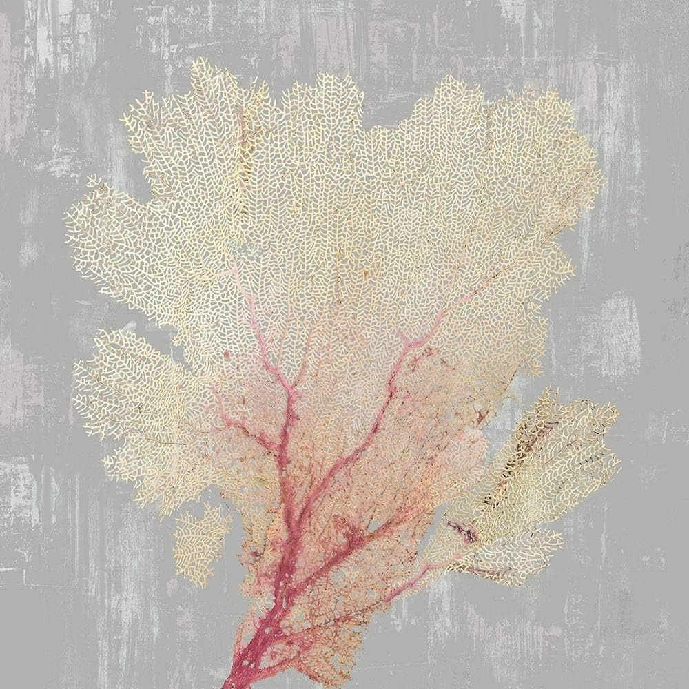 Blush Coral Ii by Aimee Wilson - 12x12 Art Print Poster