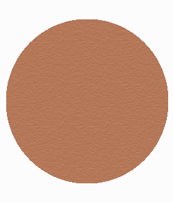 Blush Makeup Cosmetics Bronzer Compact