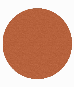Blush Makeup Cosmetics Bronzer Compact