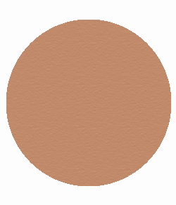 Blush Makeup Cosmetics Bronzer Compact