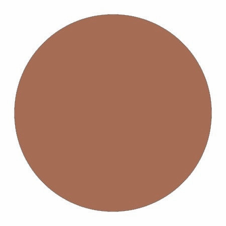 Blush Makeup Cosmetics Bronzer Compact