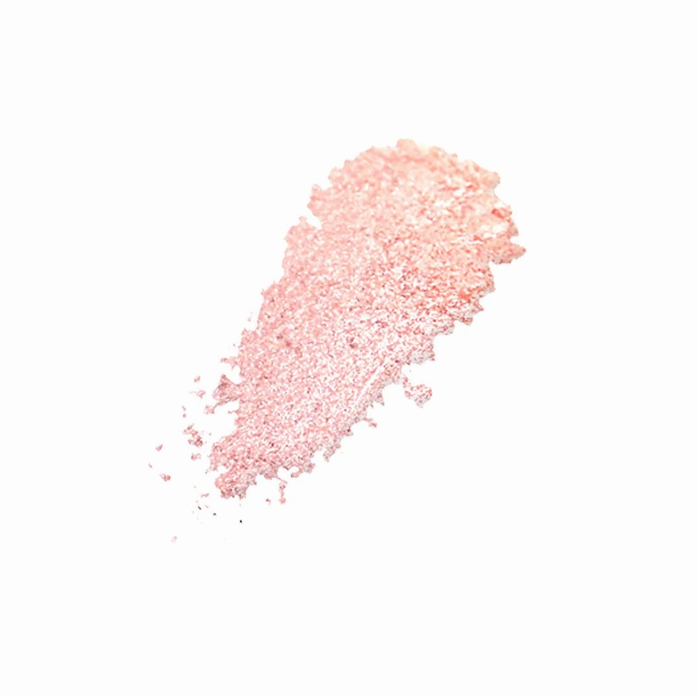 Christine Makeup Baked Powder Blush On - Shade 810
