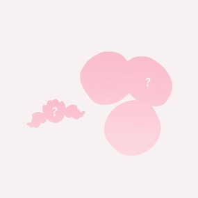 Flower Knows Blush Random Set,Value at $28-$44,Includes Powder,Cream,Liquid Blush (Blush*1 Hair Clip*1)