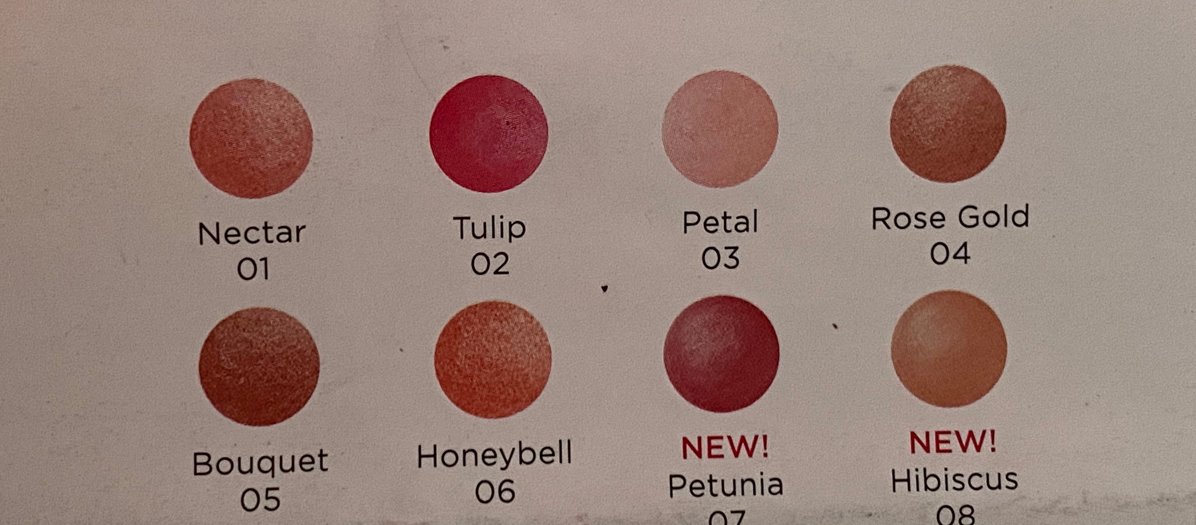 Hibiscus Baked Matte Blush