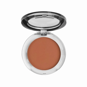 SUN TOUCH BRONZING POWDER Tan
